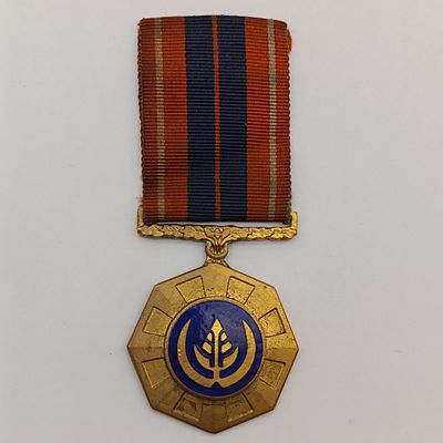 SADF Pro Patria Fixed-type full size medal #124627 with inscription on back