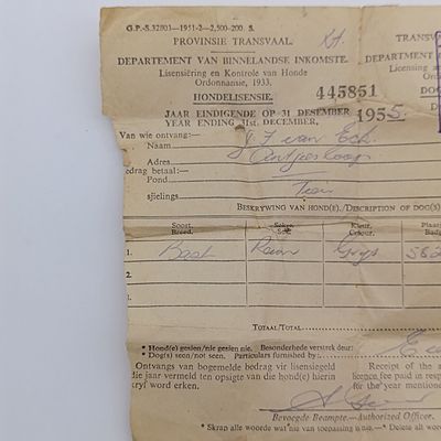 1955 Transvaal dog license - Paper and aluminium tag