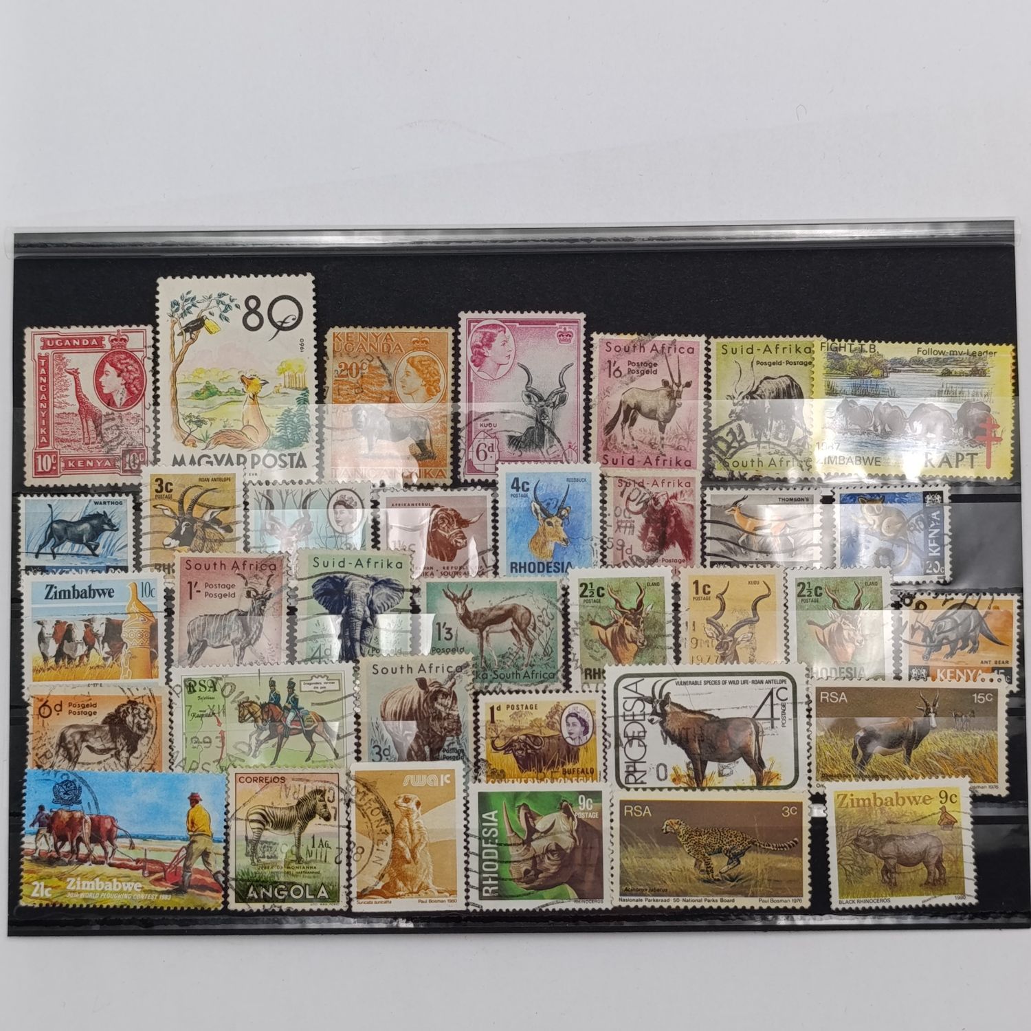 Lot of 35 animal stamps on card-unresearched