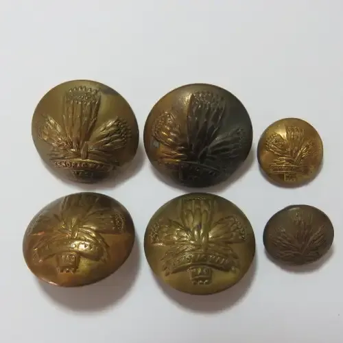 South African Defence Force lot of 6 Special Service Battalion buttons -SADF