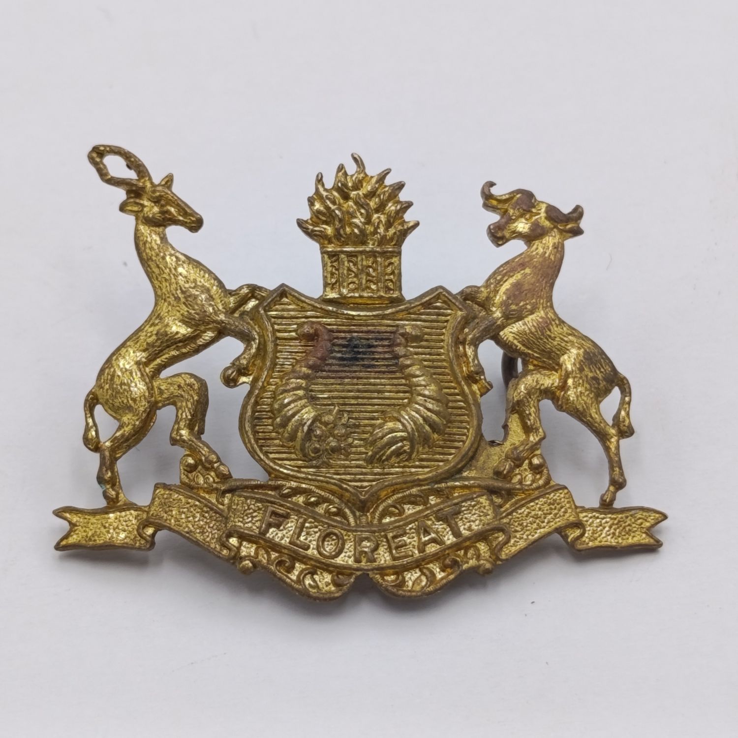 SA Bloemfontein traffic Police cap badge