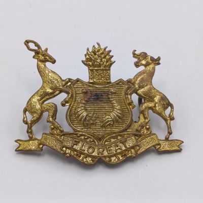 SA Bloemfontein traffic Police cap badge