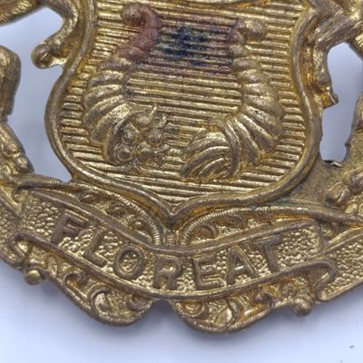 SA Bloemfontein traffic Police cap badge