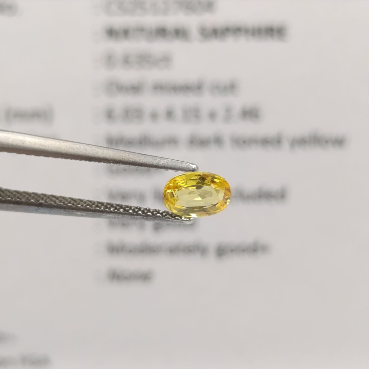 Oval Mixed Natural Sapphire of 0.635ct with GEMLAB Certificate