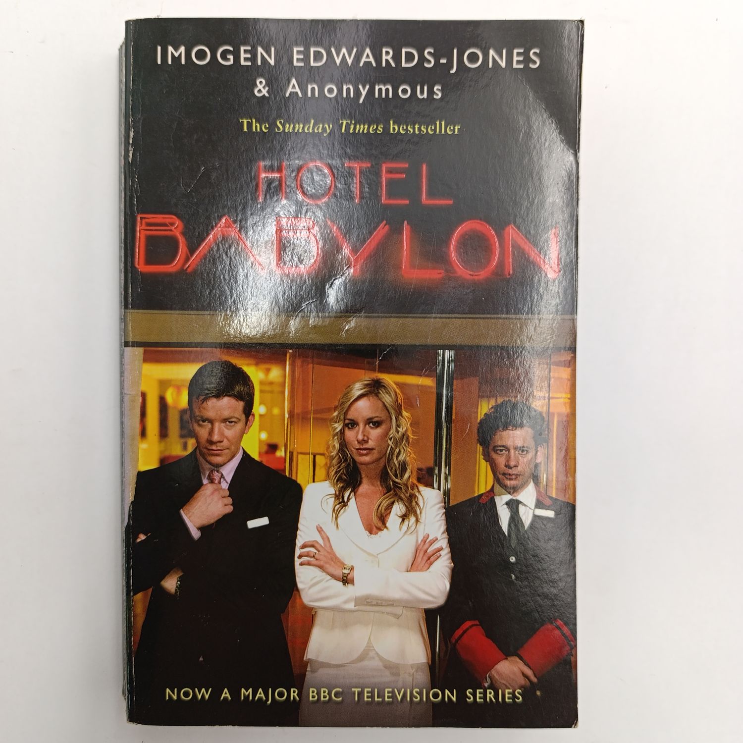 Hotel Babylon by Imogen Edwards- Jones