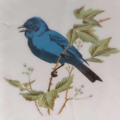 Vintage Limoges bowl with blue finch