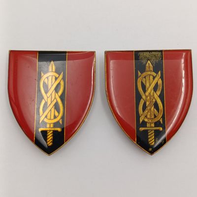 Pair of SADF Provost school shoulder flashes
