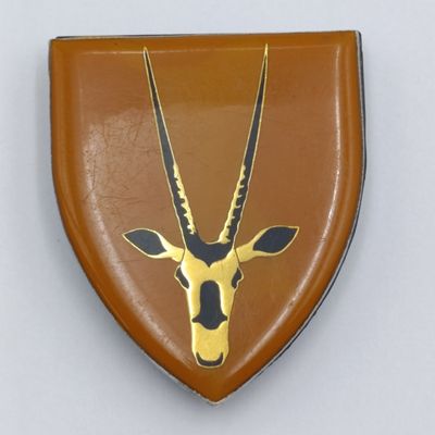 SA Army 8 SAI shoulder flash