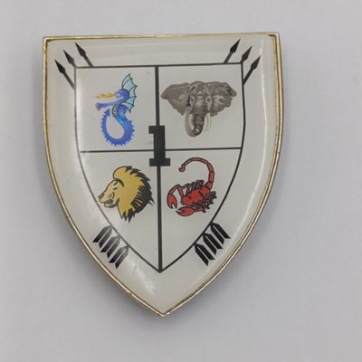 SADF 32 battalion fantasy flash