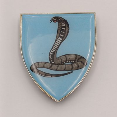 SADF Cape flats commando fantasy flash