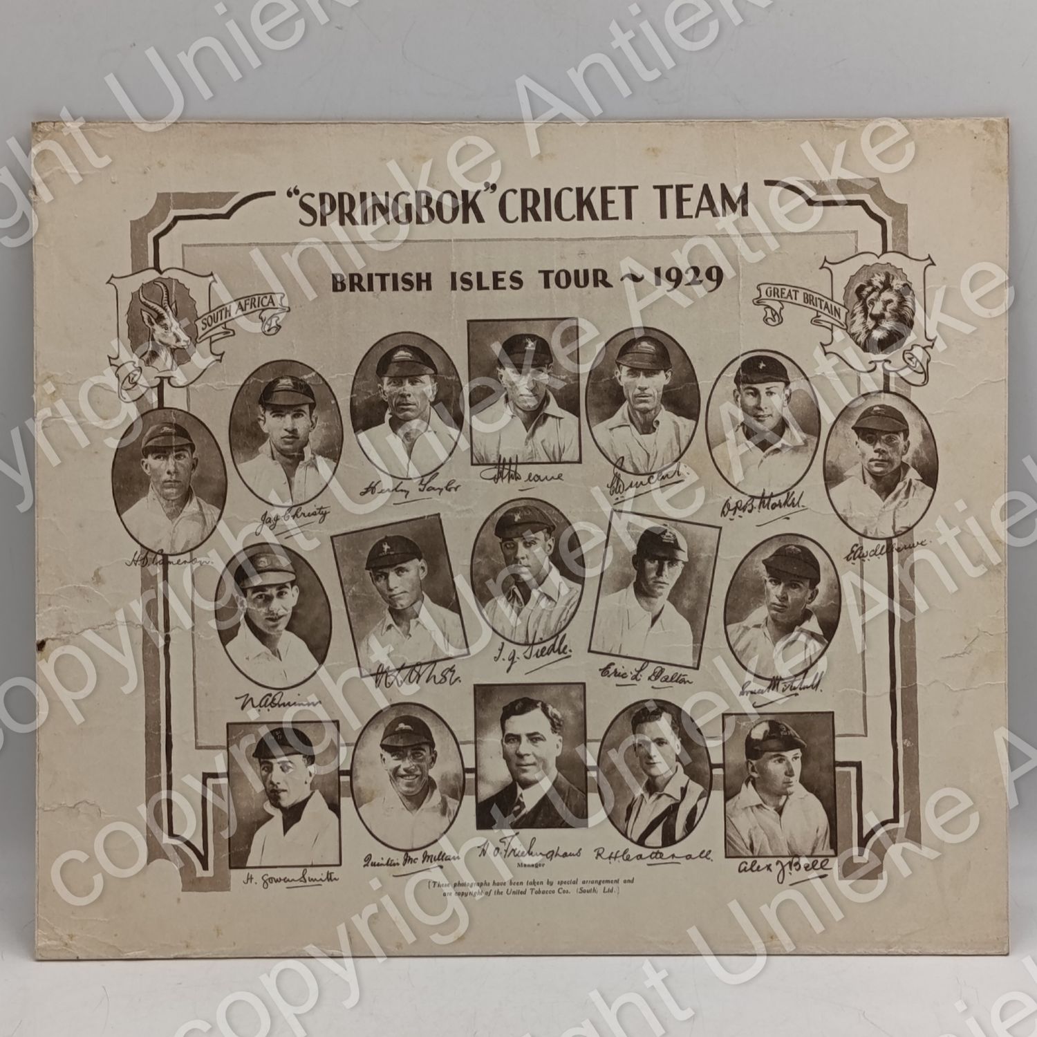 Springbok Cricket team poster - British Isles tour 1929