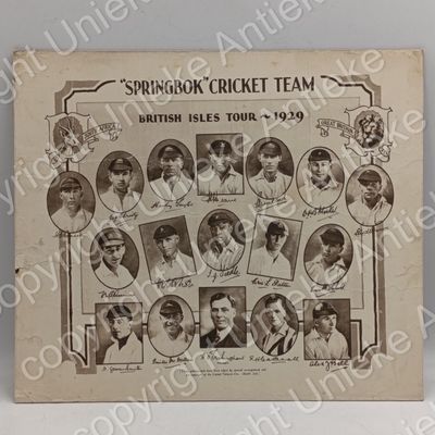 Springbok Cricket team poster - British Isles tour 1929