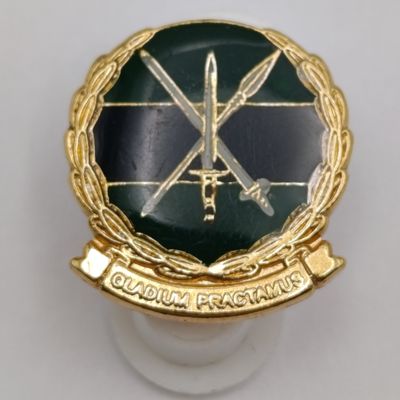 SANDF Infantry lapel pin badge