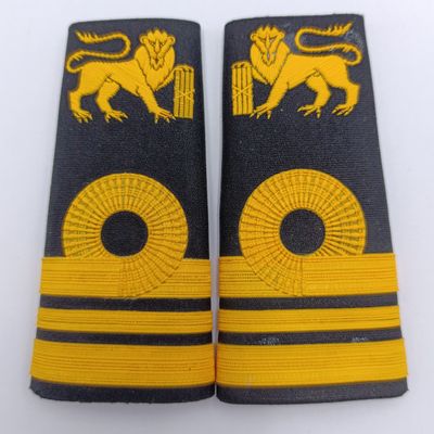 Pair of SA Navy Lieutenant - Commander rank epaulettes - tupperware
