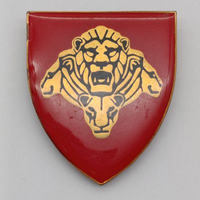 SANDF Pride of the Lions shoulder flash