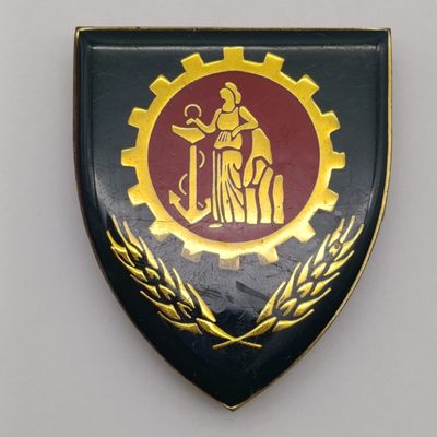 SADF Cape Corps maintenance unit shoulder flash