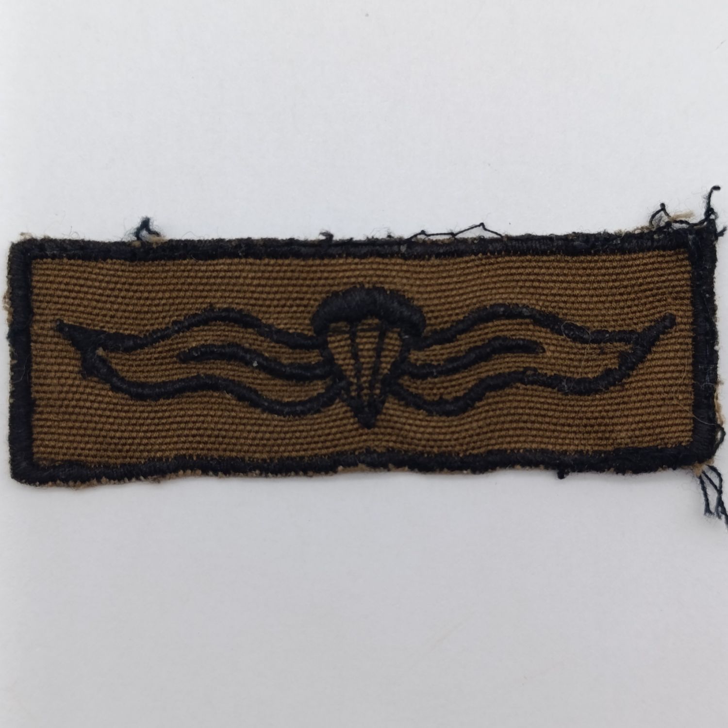 SADF Nutria basic paratrooper wing