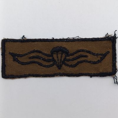 SADF Nutria basic paratrooper wing