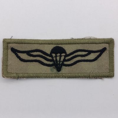 SA Army parachute qualification wing
