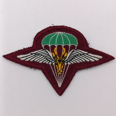 SA Army 1 Parachute battalion beret badge