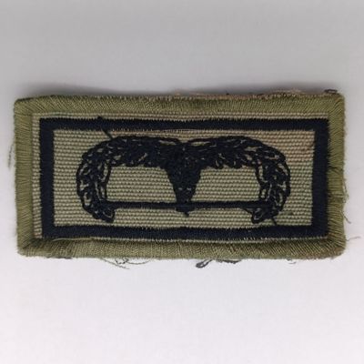 SA Army Air Assault cloth badge