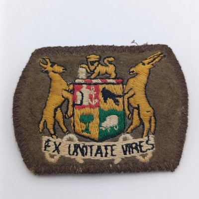 Pair of SADF warrant officer rank badges