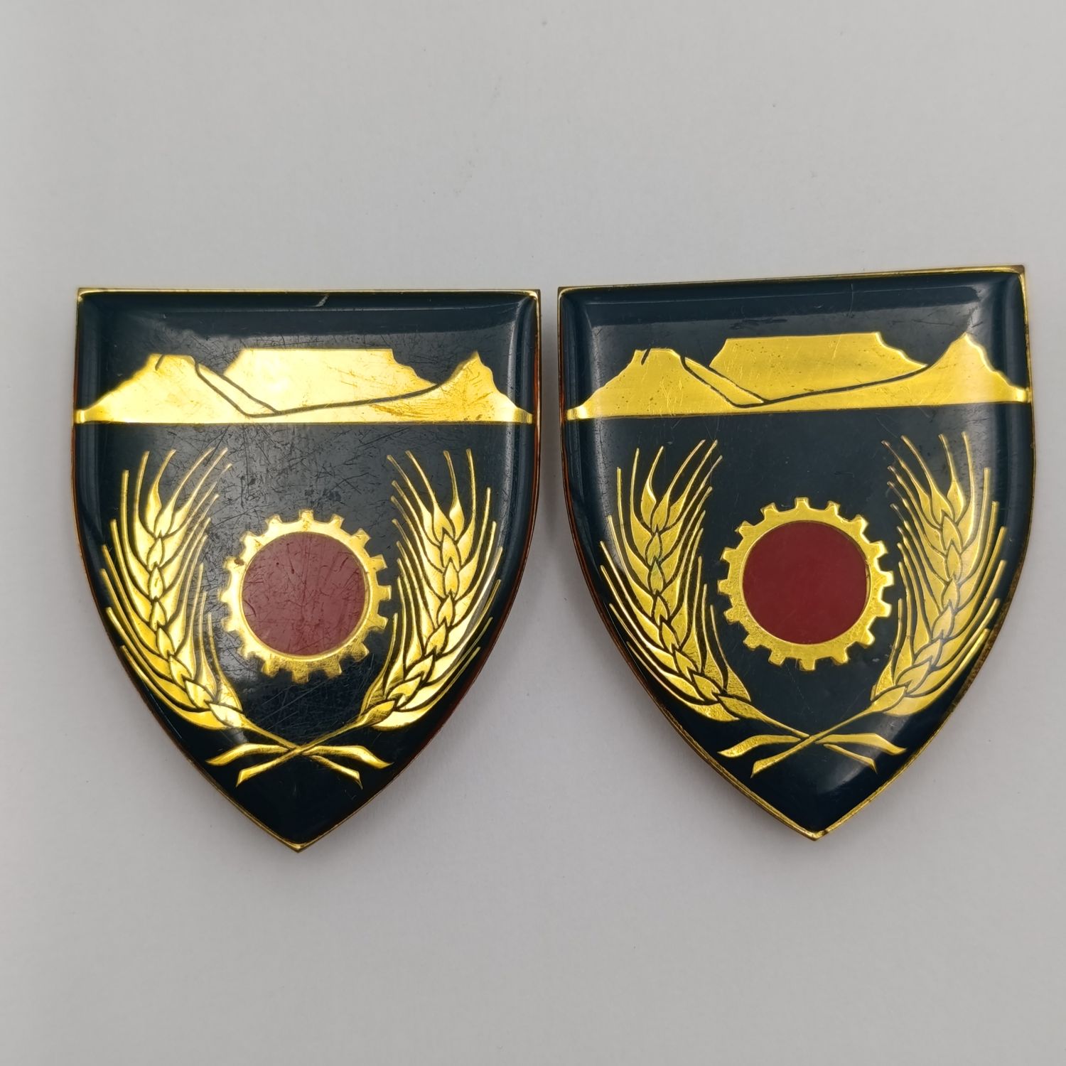 Pair of SADF Western Province maintenance unit shoulder flashes