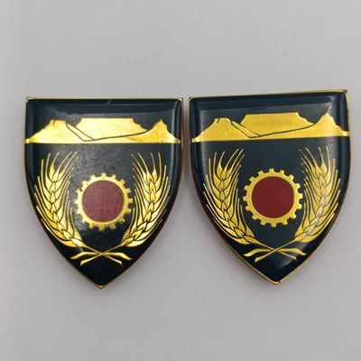 Pair of SADF Western Province maintenance unit shoulder flashes