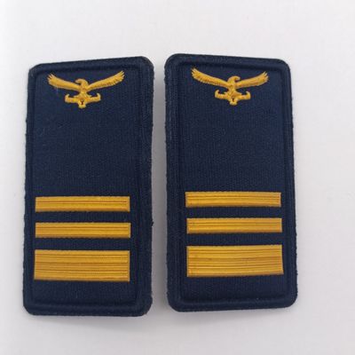 Pair of SA Air Force Lieutenant-Colonel collar badges