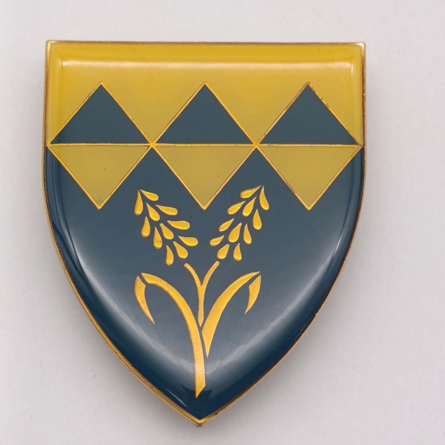 SADF Waterberg commando shoulder flash