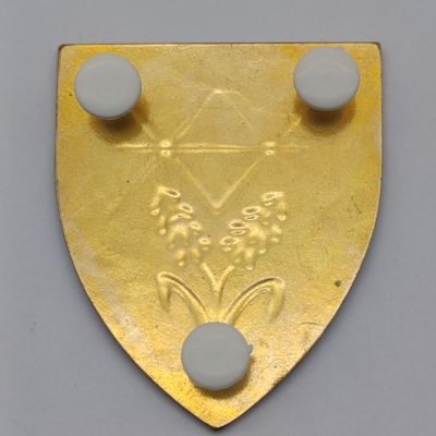 SADF Waterberg commando shoulder flash