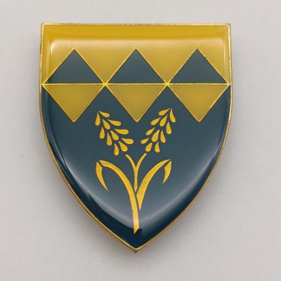SADF Waterberg commando shoulder flash
