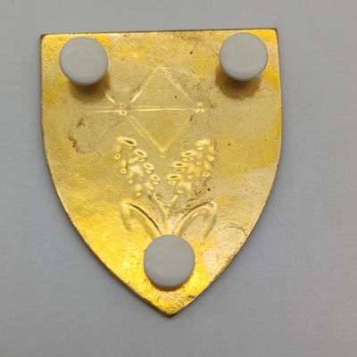 SADF Waterberg commando shoulder flash