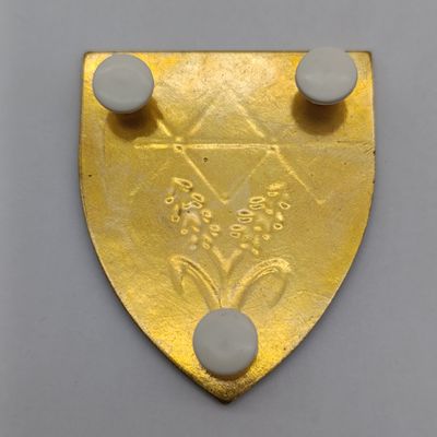SADF Waterberg commando shoulder flash