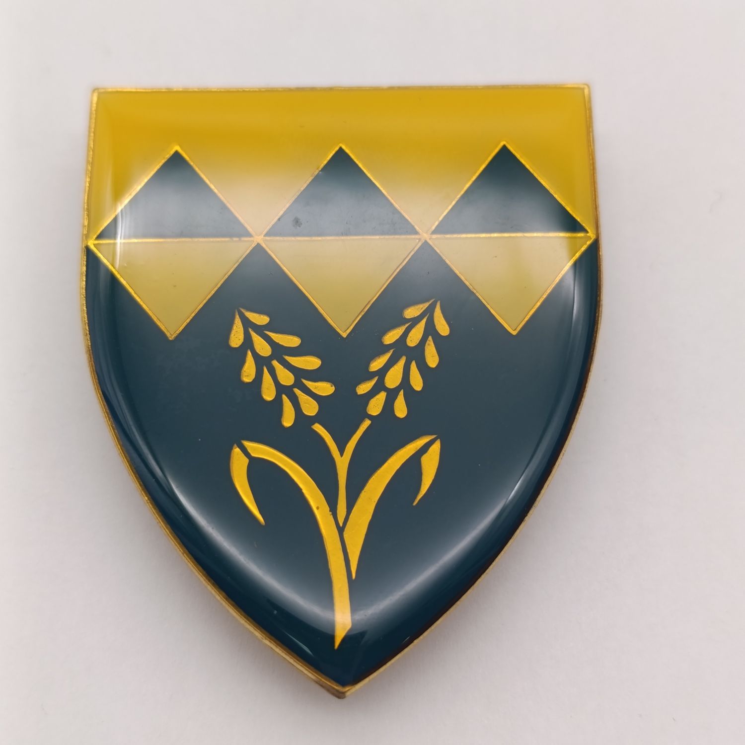 SADF Waterberg commando shoulder flash