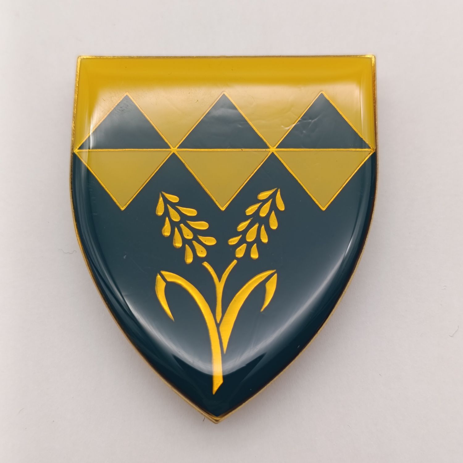 SADF Waterberg commando shoulder flash