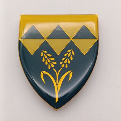 SADF Waterberg commando shoulder flash