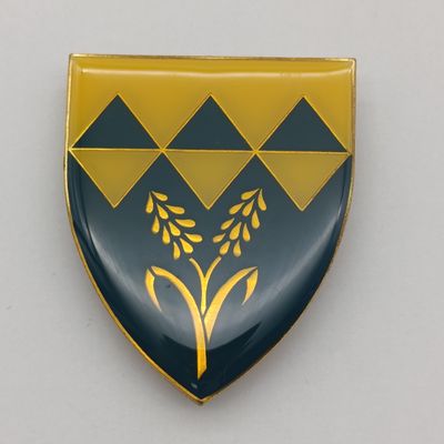 SADF Waterberg commando shoulder flash