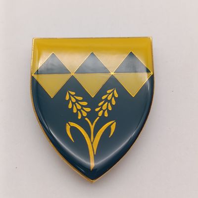 SADF Waterberg commando shoulder flash
