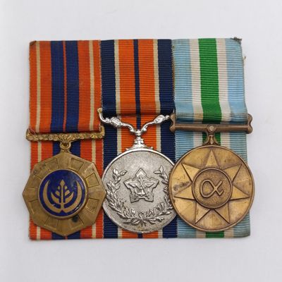 Set of 2 SADF Border war full size medals - Pro Patria, general service, Unity medal