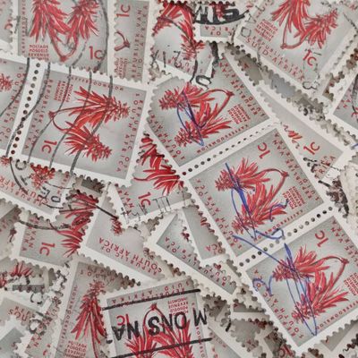 Hundreds of South Africa 1c Aloe stamps to search for variations
