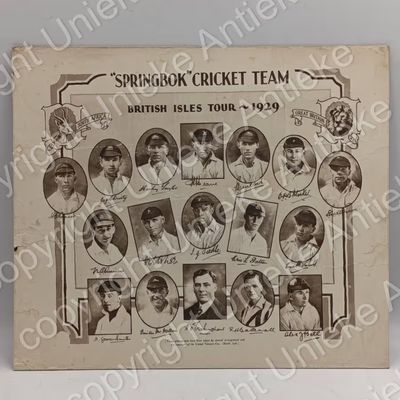 Springbok Cricket team poster - British Isles tour 1929