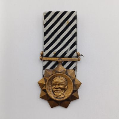 SANDF Mandela funeral bronze commemorative medal #3471
