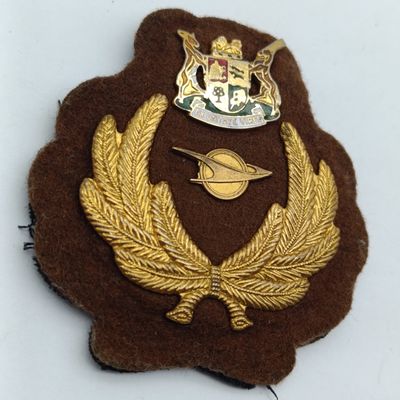 SA Railways Transport Service Official Cap Badge - Vintage Collectible