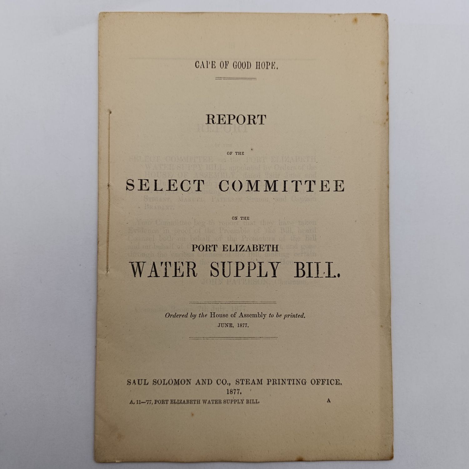 Cape of Good Hope 1877 Port Elizabeth Water Supply Bill - Historical Document