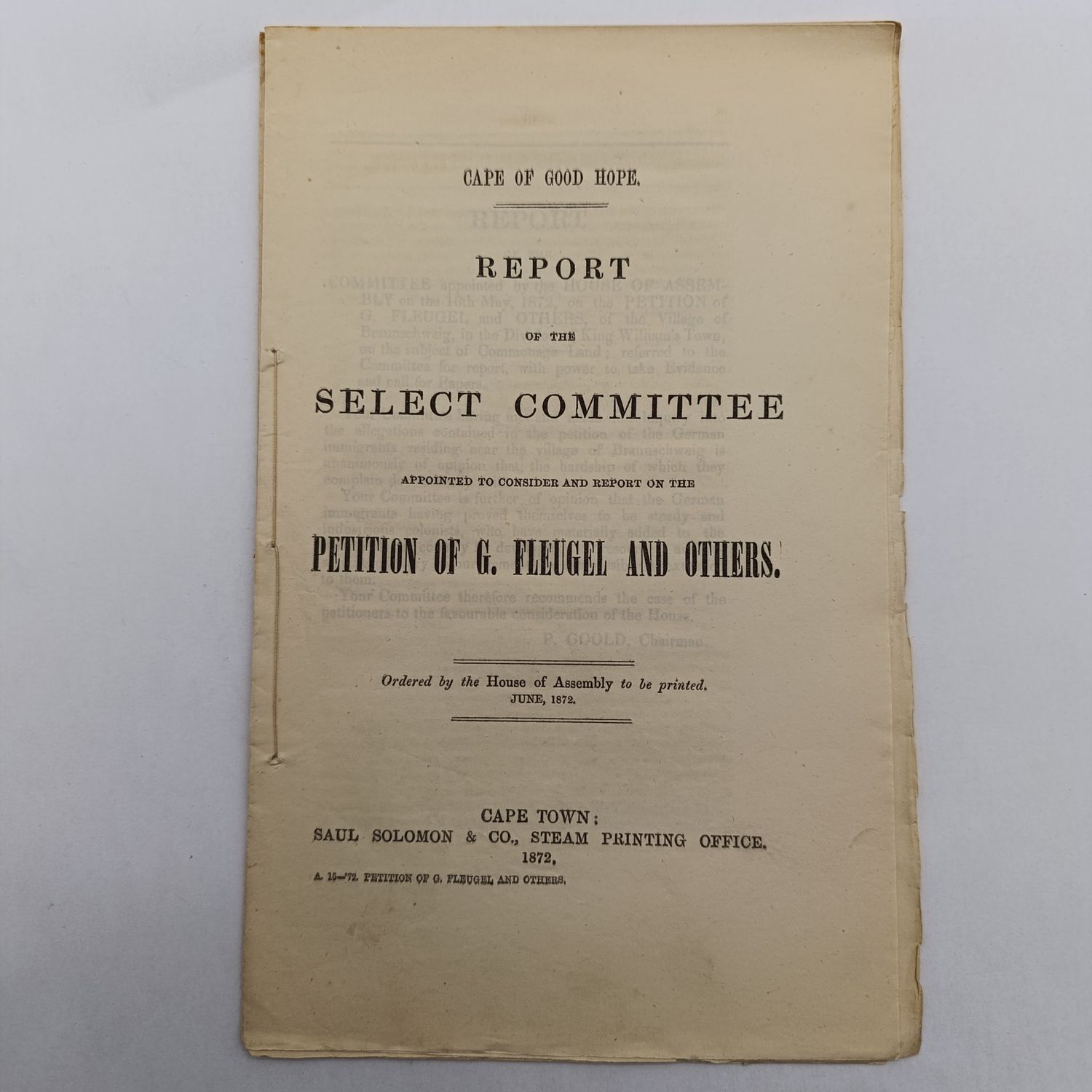 Cape of Good Hope 1872 Report Relief for Immigrants Land Use Collectible