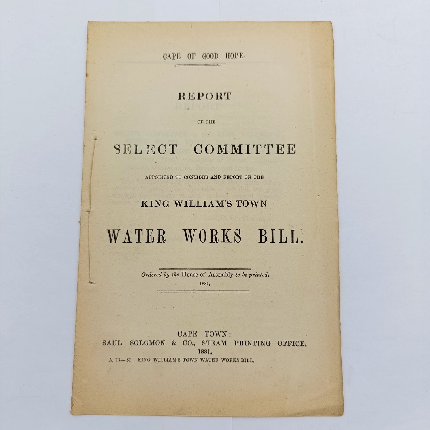 Cape of Good Hope 1881 Report of the select committee on King Williams Town water works Bill