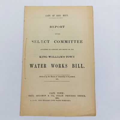 Cape of Good Hope 1881 Report of the select committee on King Williams Town water works Bill