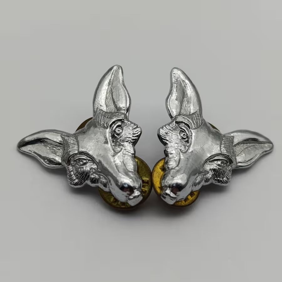 Pair of SA Army Intelligence Corps collar badges