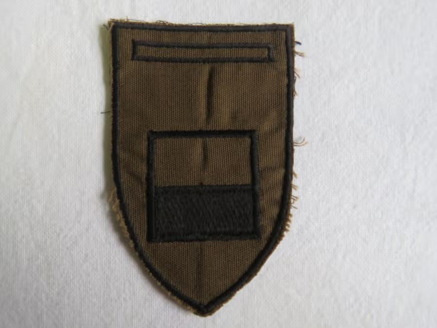 SADF 44 Para brigade Bravo company subdued cloth flash